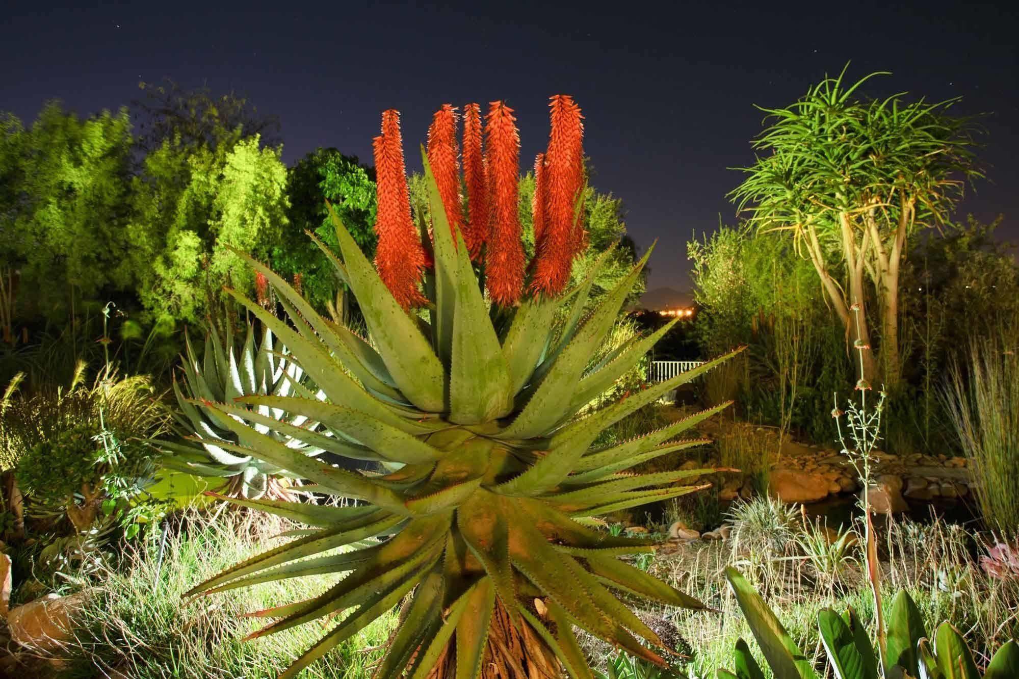 Hotel Aloe Manor Oudtshoorn Esterno foto